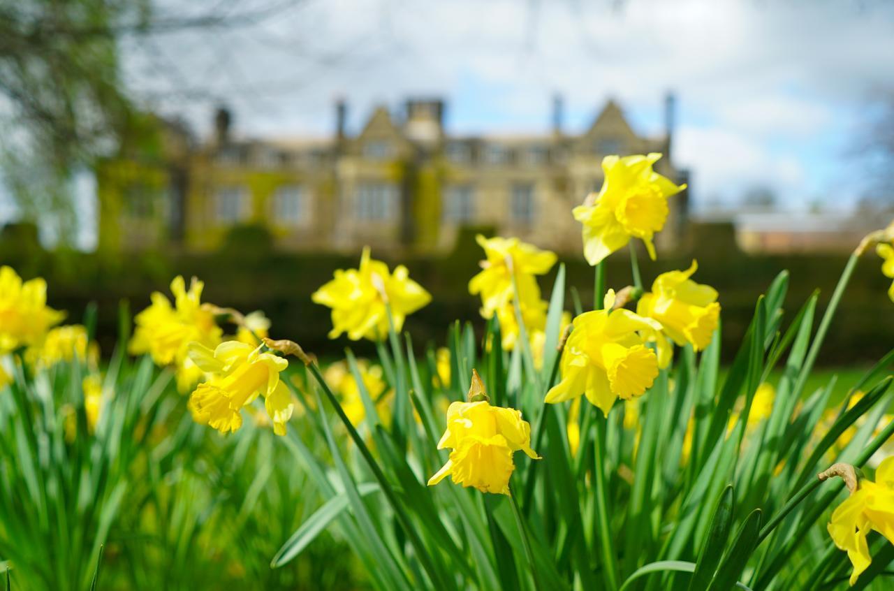 Gisborough Hall Hotel Guisborough Exterior photo